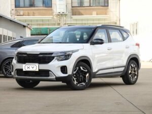 KIA Seltos White+Black Top