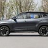 KIA Seltos grey